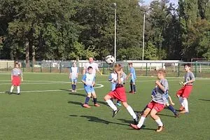31.08.2019 Dessauer SV 97 vs. SG Coswig/Klieken