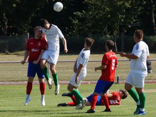 24.08.2024 Grün-Weiß Pretzsch vs. SV Blau-Rot Coswig II