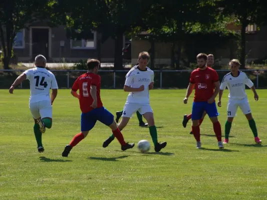 24.08.2024 Grün-Weiß Pretzsch vs. SV Blau-Rot Coswig II