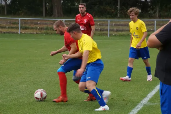 31.08.2024 SV Blau-Rot Coswig II vs. Malterhausener SV