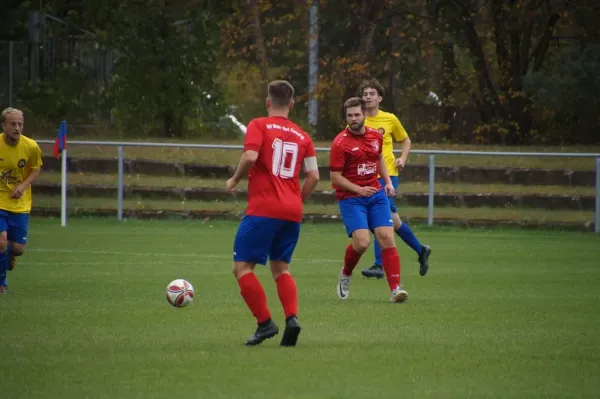 31.08.2024 SV Blau-Rot Coswig II vs. Malterhausener SV