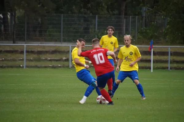 31.08.2024 SV Blau-Rot Coswig II vs. Malterhausener SV