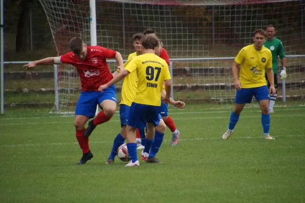 31.08.2024 SV Blau-Rot Coswig II vs. Malterhausener SV