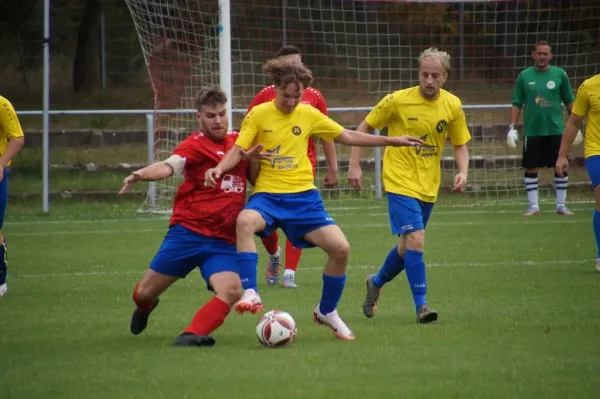 31.08.2024 SV Blau-Rot Coswig II vs. Malterhausener SV