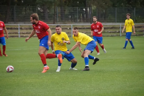 31.08.2024 SV Blau-Rot Coswig II vs. Malterhausener SV