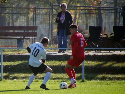 26.10.2024 SV Blau-Rot Coswig II vs. SV Hellas 09 II