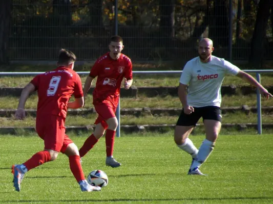 26.10.2024 SV Blau-Rot Coswig II vs. SV Hellas 09 II