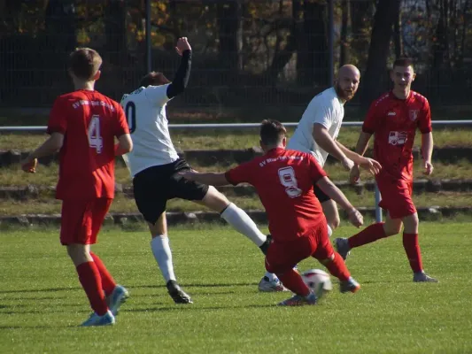 26.10.2024 SV Blau-Rot Coswig II vs. SV Hellas 09 II