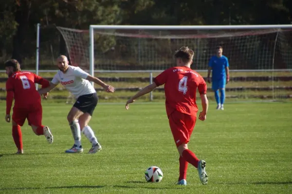 26.10.2024 SV Blau-Rot Coswig II vs. SV Hellas 09 II