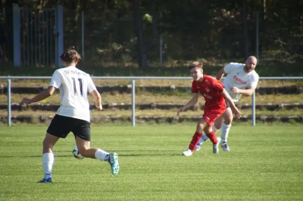 26.10.2024 SV Blau-Rot Coswig II vs. SV Hellas 09 II