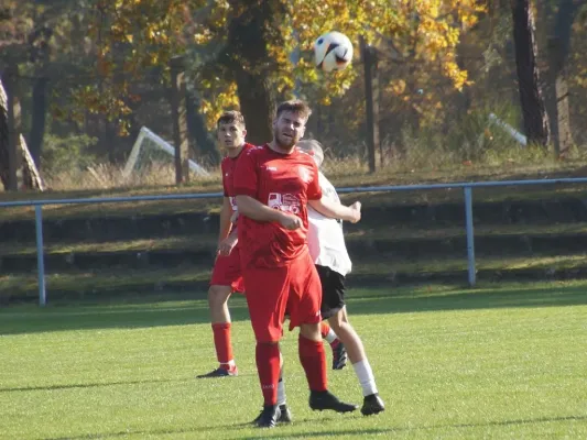 26.10.2024 SV Blau-Rot Coswig II vs. SV Hellas 09 II