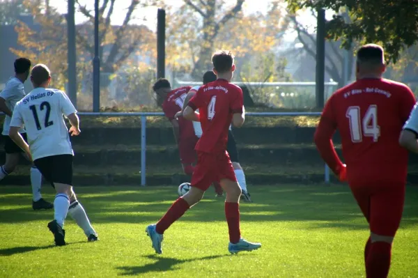 26.10.2024 SV Blau-Rot Coswig II vs. SV Hellas 09 II