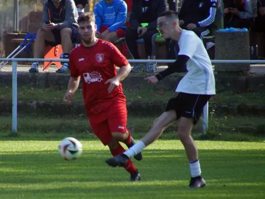 26.10.2024 SV Blau-Rot Coswig II vs. SV Hellas 09 II