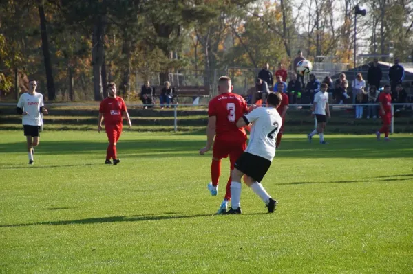 26.10.2024 SV Blau-Rot Coswig II vs. SV Hellas 09 II