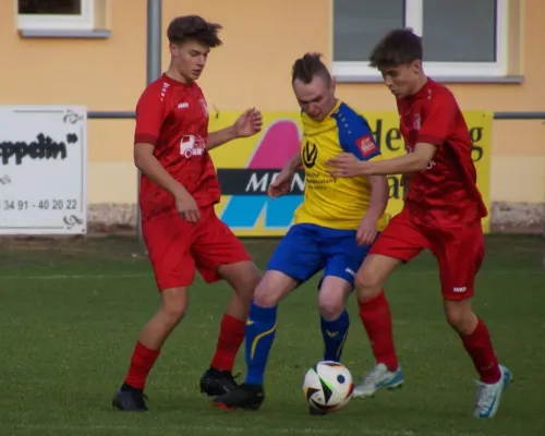 02.11.2024 Abtsdorf II vs. SV Blau-Rot Coswig II