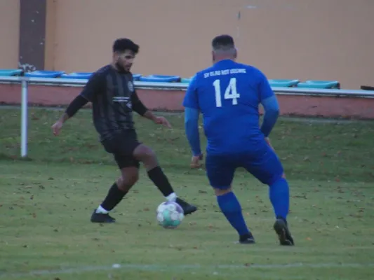 30.11.2024 SG Wartenburg vs. SV Blau-Rot Coswig II