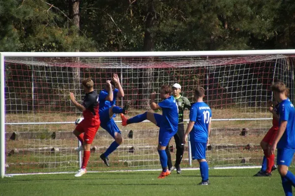 07.09.2024 SV Blau-Rot Coswig II vs. SV Eintracht Elster II